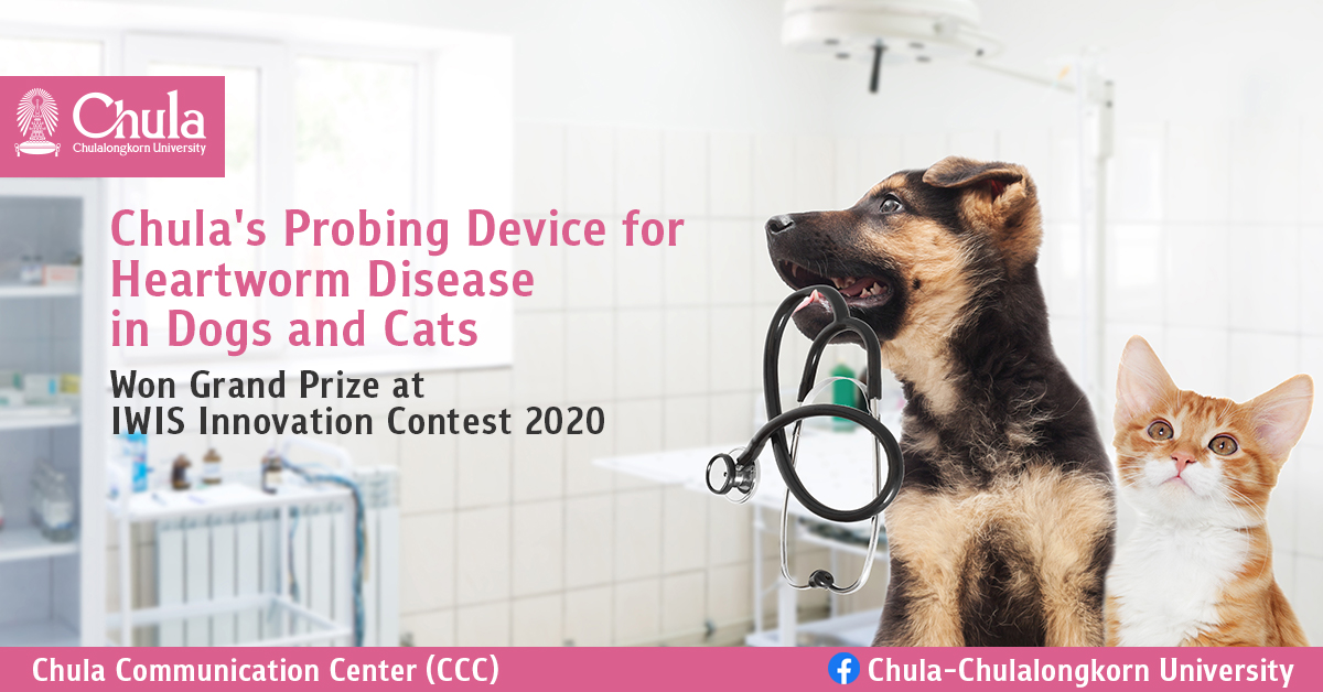 Chula's Probing Device for Heartworm Disease in Dogs and Cats Won Grand ...