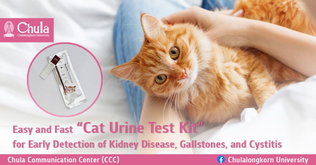 Cat Urine Test Kit