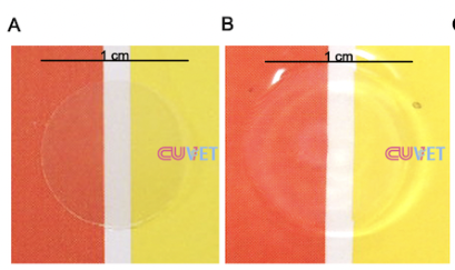 Image showing film made from silk fibroin and gelatin 