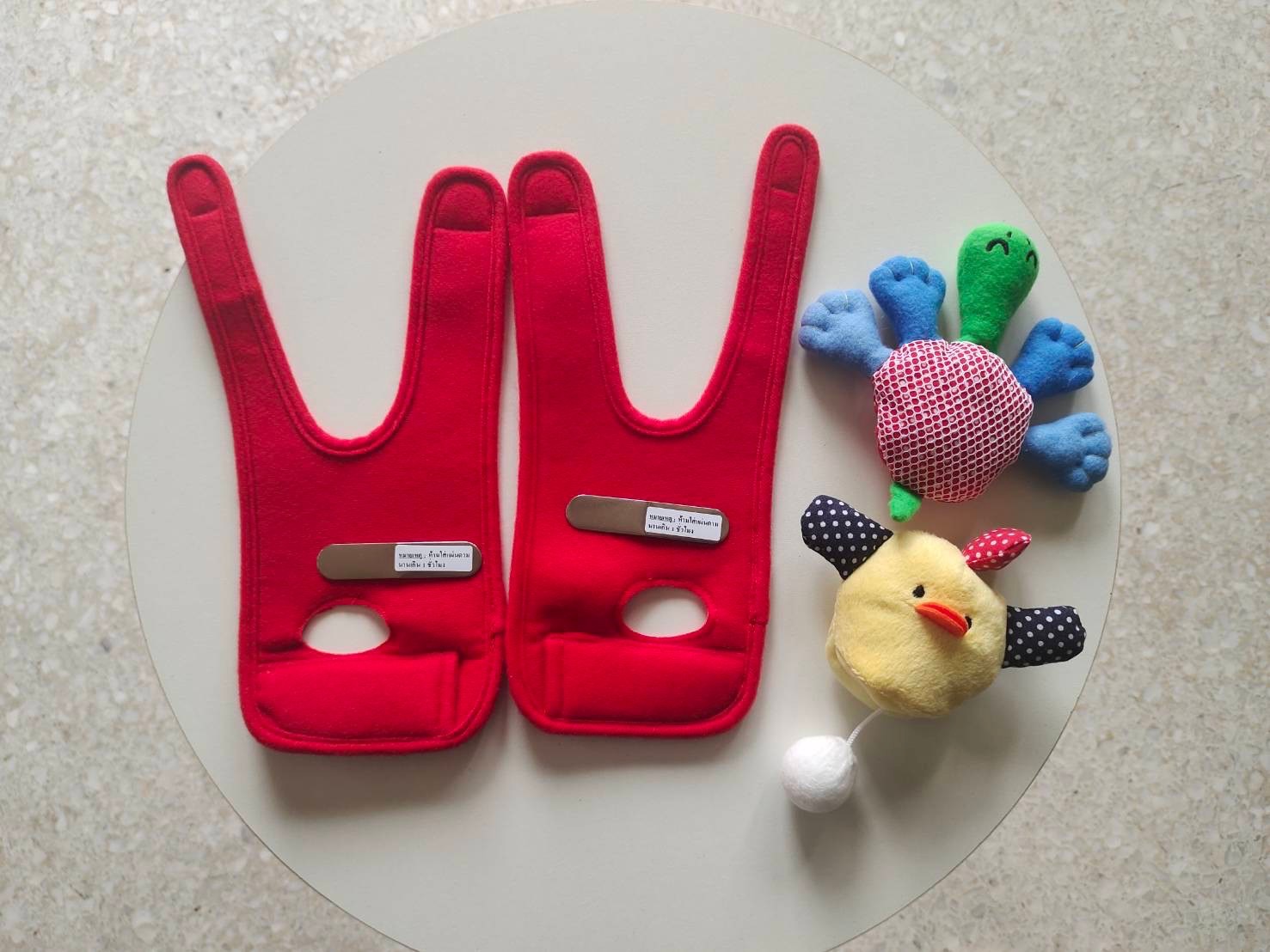 Happy CP Gloves by Satit Chula Demonstration Students Win First Prize in Student Innovation Contest for People with Disabilities and the Elderly