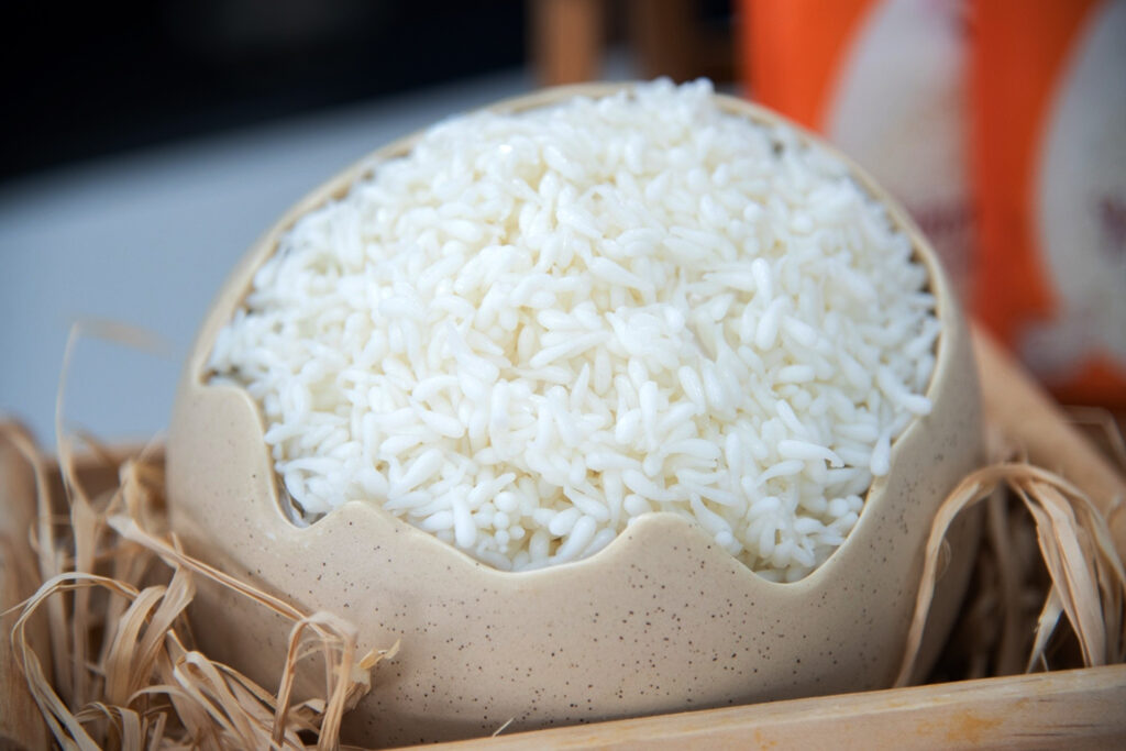 Egg-White Rice – an Innovative Alternative Food Rich in Nutrients that Appeals to the Health Conscious