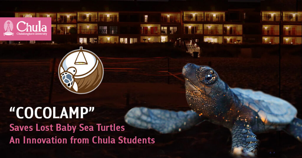 COCOLAMP Saves Lost Baby Sea Turtles, An Innovation from Chulalongkorn Students