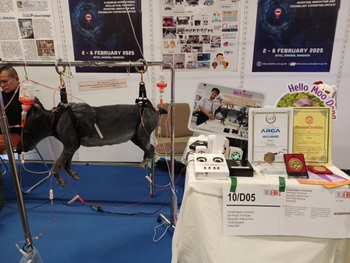 "Chula’s Eco-Friendly Canine Blood Draw Training Model Wins a Gold at iENA 2024 in Germany