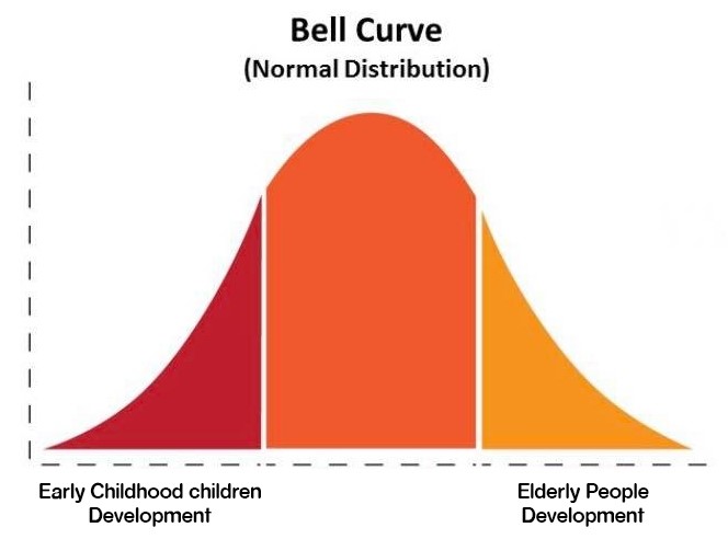 Bell Curves พัฒนาการของชีวิตมนุษย์ตั้งแต่แรกเกิด วัยรุ่นและหนุ่มสาว จนเข้าสู่วัยผู้สูงอายุ 