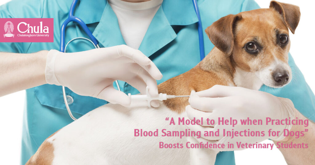 A Model to Help when Practicing Blood Sampling and Injections for Dogs Boosts Confidence in Veterinary Students 