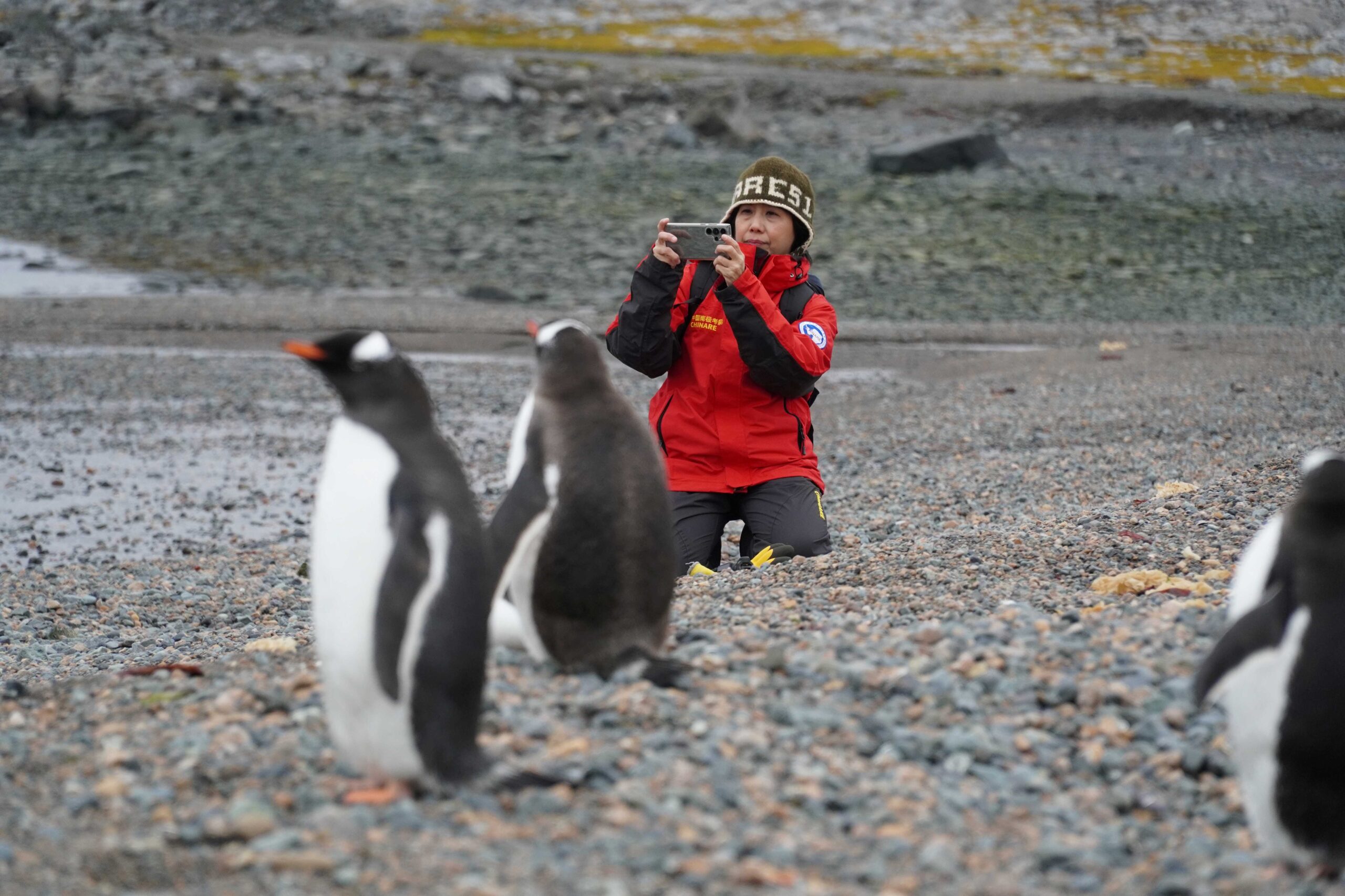 Thai Research Team Reaches Antarctica, Finds Alarming Increase in Ice Melt Levels Due to Global Warming 