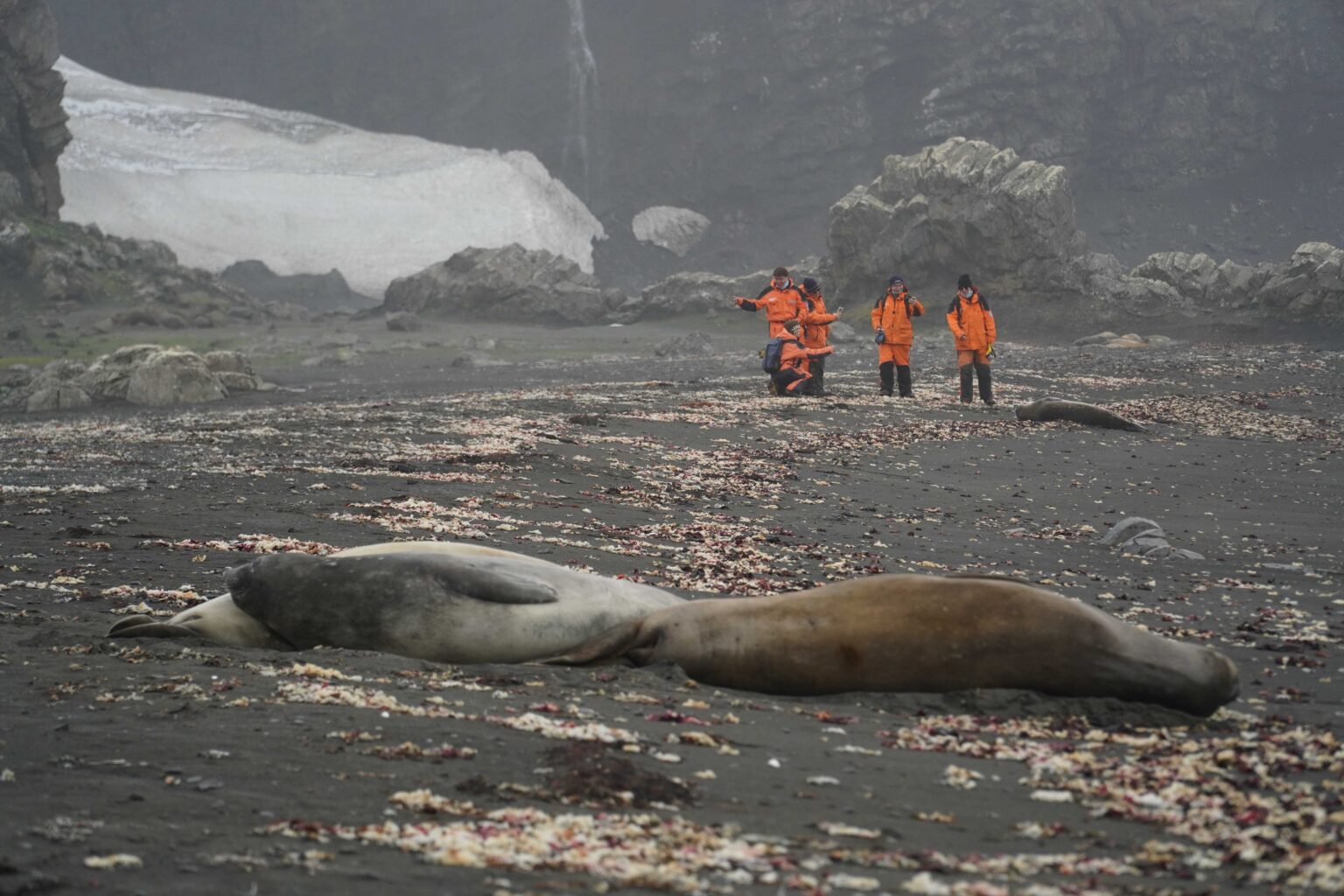 An extreme mission, Chulalongkorn researchers travel to the Antarctic To Investigate the Impacts of Global Warming and Microplastic Waste