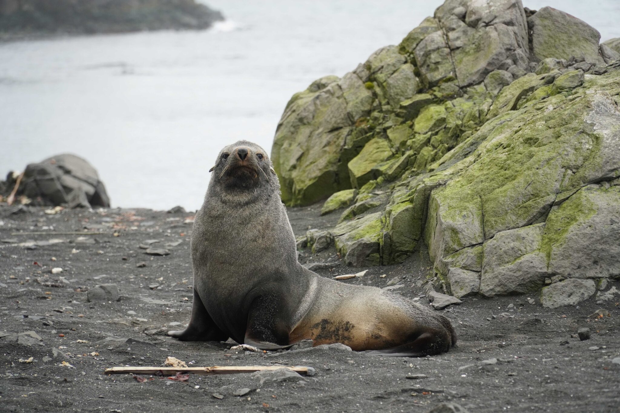 An extreme mission, Chulalongkorn researchers travel to the Antarctic To Investigate the Impacts of Global Warming and Microplastic Waste